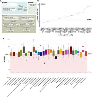 Identification of Mutations Related to Cisplatin-Resistance and Prognosis of Patients With Lung Adenocarcinoma